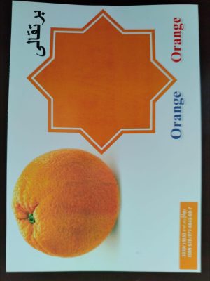 Color Flash Cards for Kids Arabic - English - French