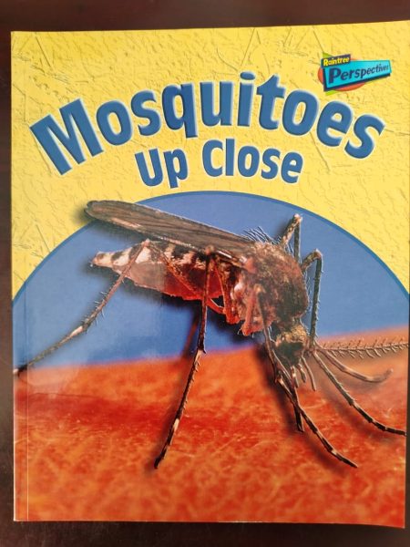 Mosquitoes Up Close