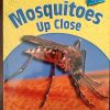 Mosquitoes Up Close