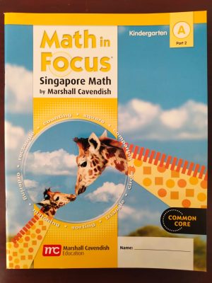 Math in focus singapore math