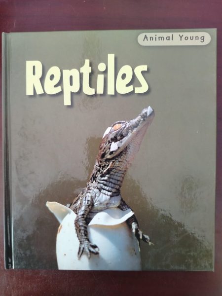 Animal Young Reptiles Hardcover