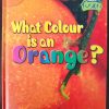 What Colour is an Orange? hardcover