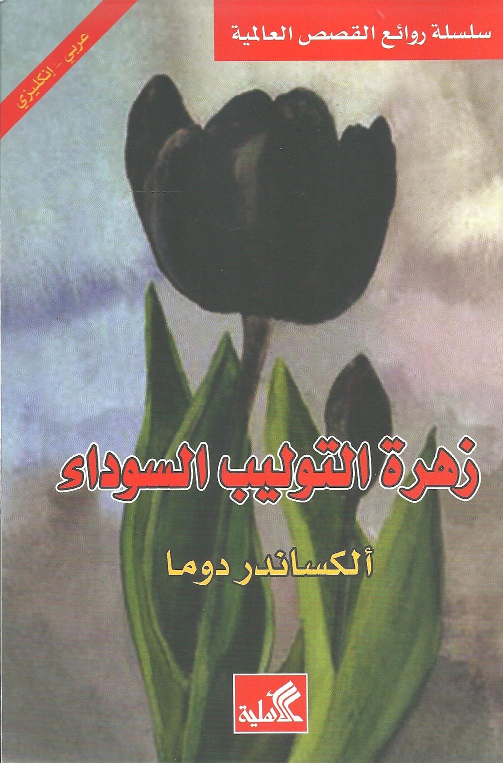 زهرة التوليب السوداء