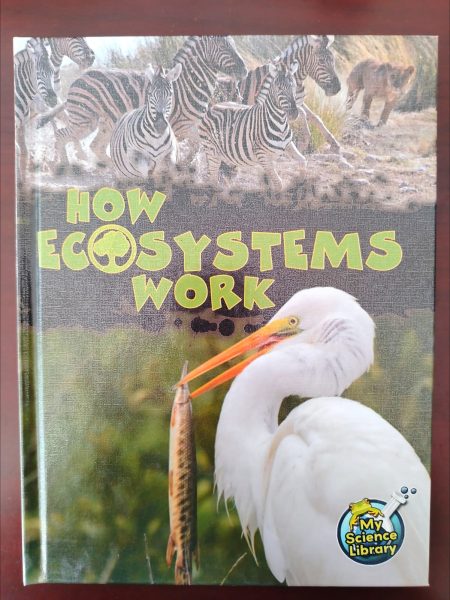 HOW ECOSYSTEMS WORK