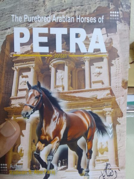 The purebred Arabian Horses of Petra.